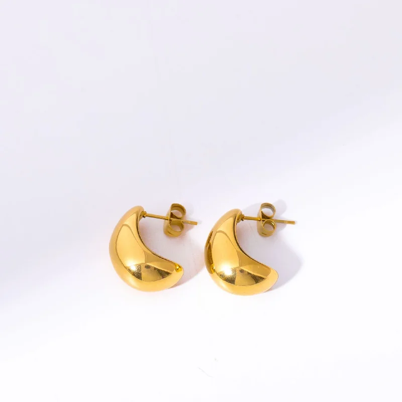 Earrings D