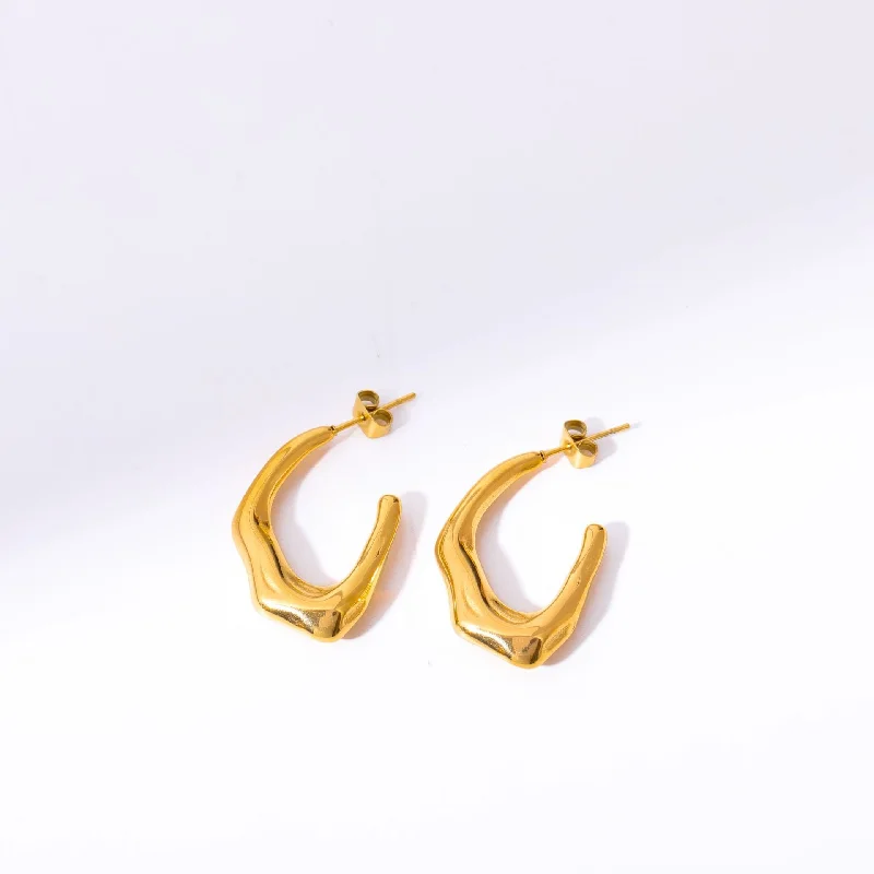 Earrings C